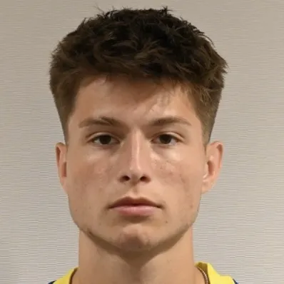 Esmir Bajraktarević Profile Photo