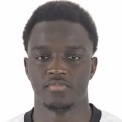 Mouctar Diakhaby