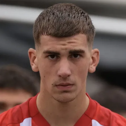 Veljko Milosavljevic Profile Photo