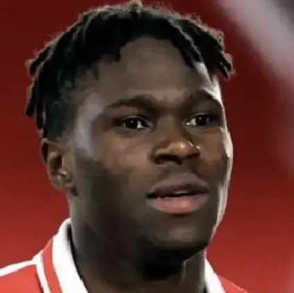 Wilfried Singo